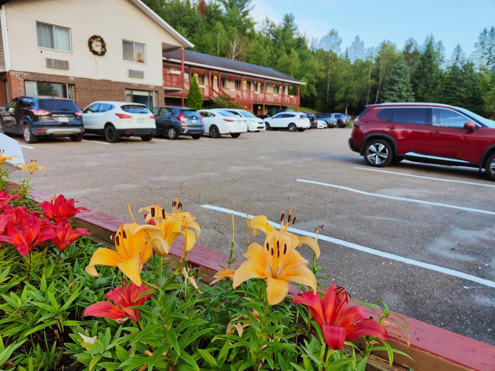 Motel Le Radisson de Val-David Extérieur photo